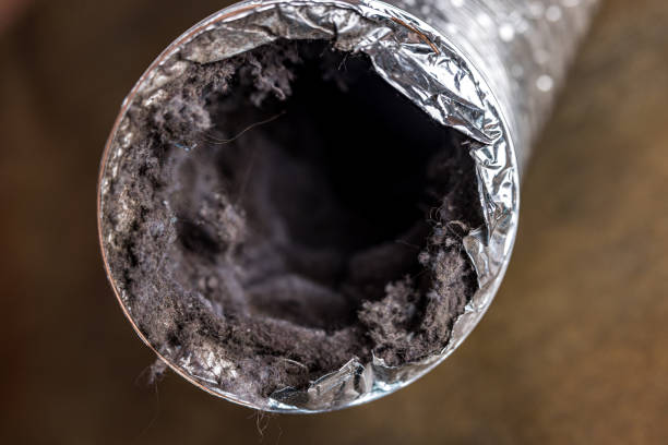 Best Duct Cleaning for Offices  in Hoschton, GA