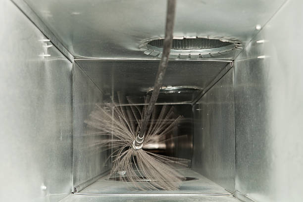 Best Affordable Duct Cleaning Services  in Hoschton, GA