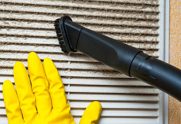 Best Air Duct Inspection  in Hoschton, GA