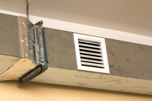 Best HVAC Duct Inspection Services  in Hoschton, GA